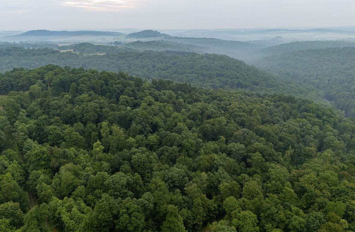 DJI_20250613050826_0382_D