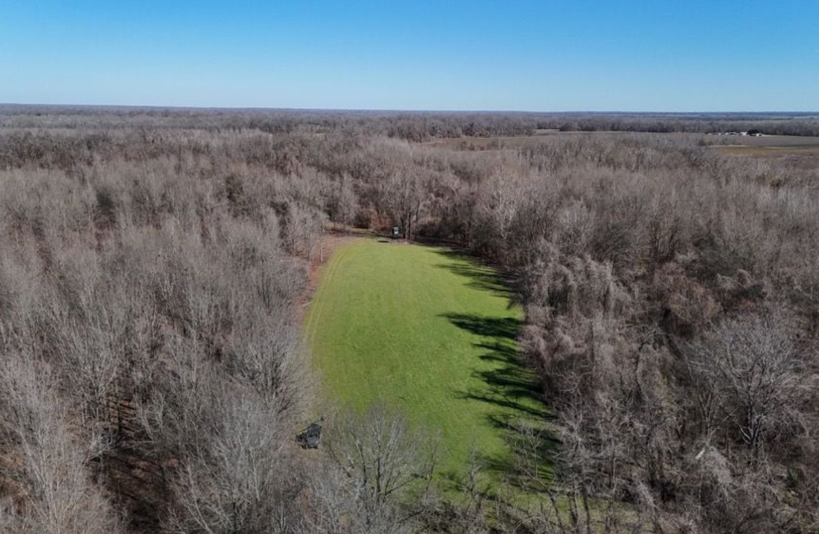 DJI_20260208012210_0966_D