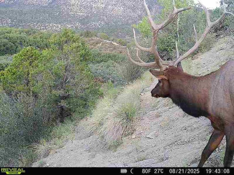 860516060007964-100-2-08212025194308-V-W1004063