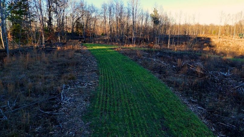 DRONE.00_16_45_15.Still040