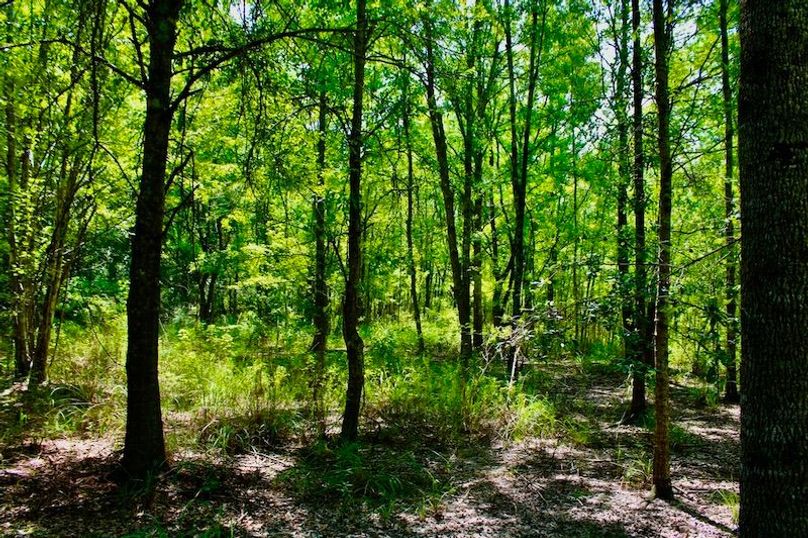 329445CC-D8C3-48A2-B96F-8013DC278D37_1_105_c