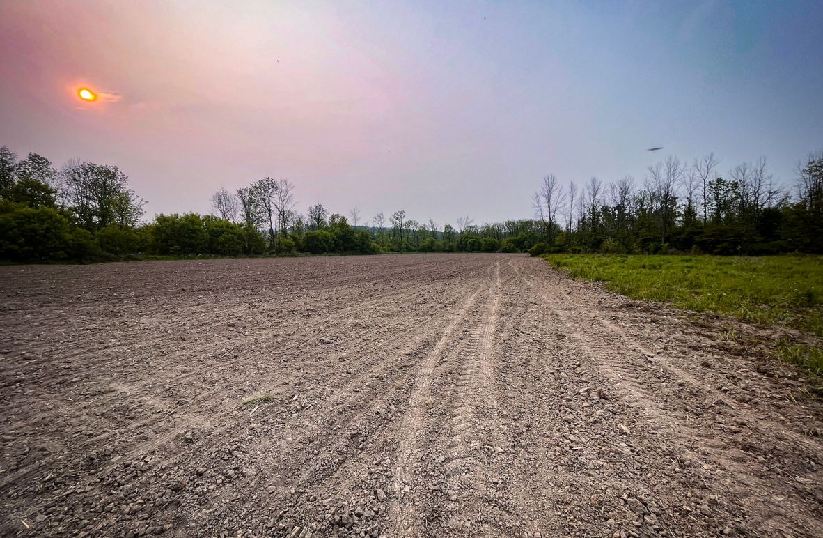 Ontatio_73.3_Green Photo 2