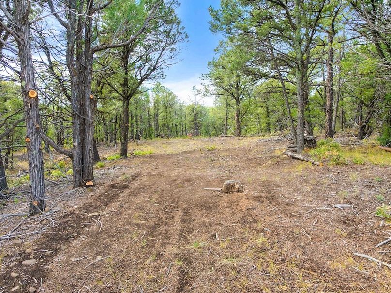 DJI_20250924102939_0039_D