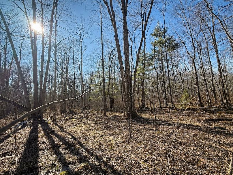 Oswego_16.32_Phillips Photo 13