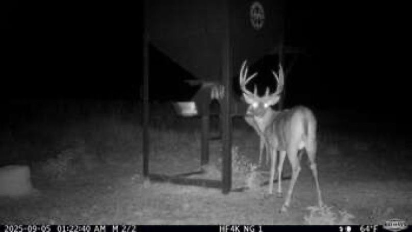 55aced29b239f2b79e8565d4c143b492-small