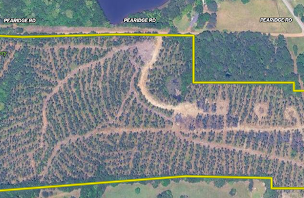 Screenshot 2025-11-17 at 12.40.30 PM