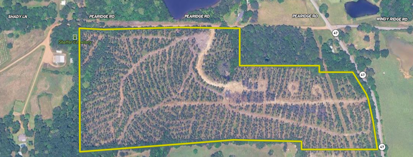 Screenshot 2025-11-17 at 12.40.30 PM