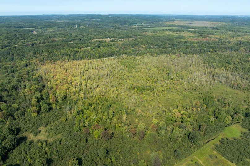 dji_fly_20240824_104810_177_1725553236518_photo 3