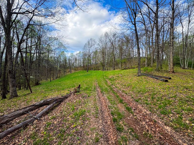 Calhoun, WV 132.84 AC Szegi 2-118