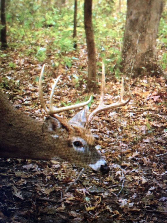 59486957288__B21CAFC9-FB37-48B3-A26B-C7CAFDF6B4F7