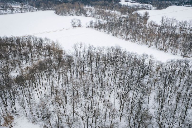 DJI_20260128163606_0558_D