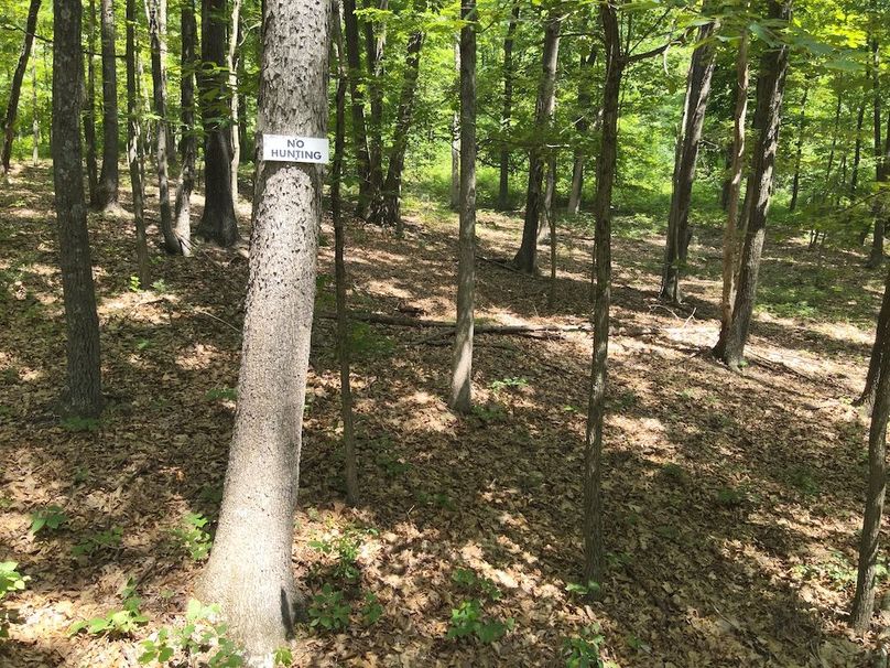 DJI_20240612145256_0013_V