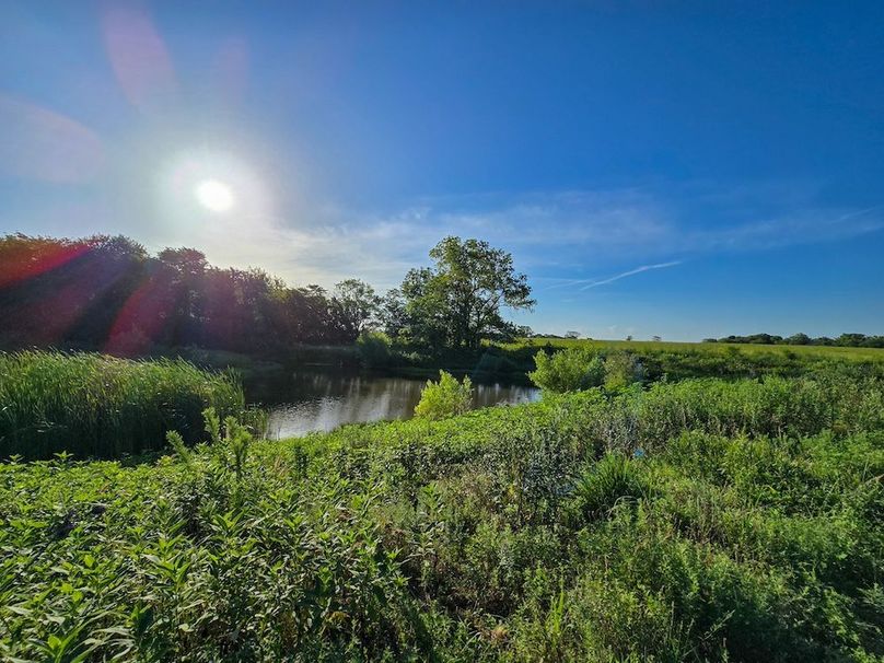 Copy of 20250729_080654