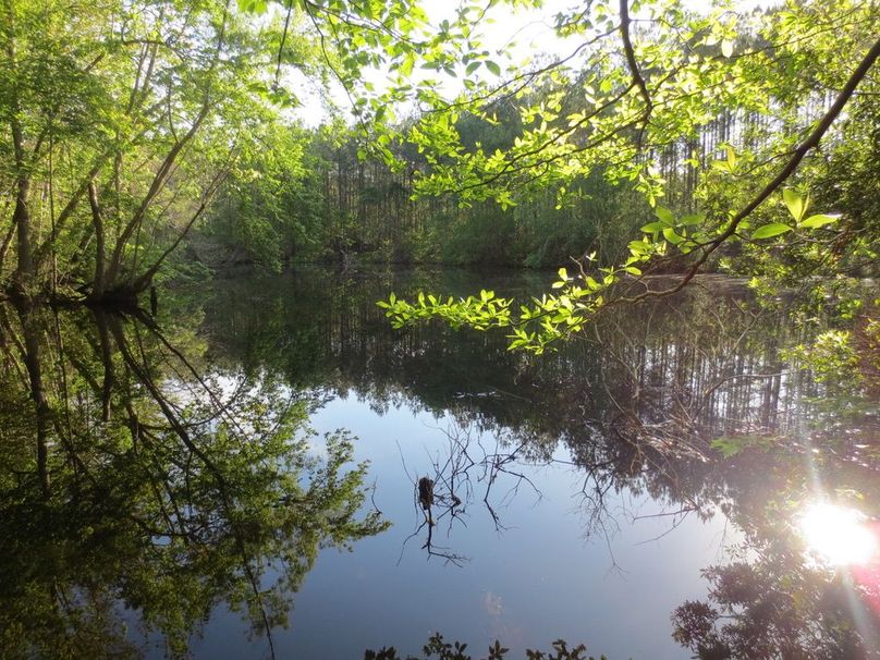 CD41D9C4-539A-4584-AFFC-E6C39348F45F_1_105_c