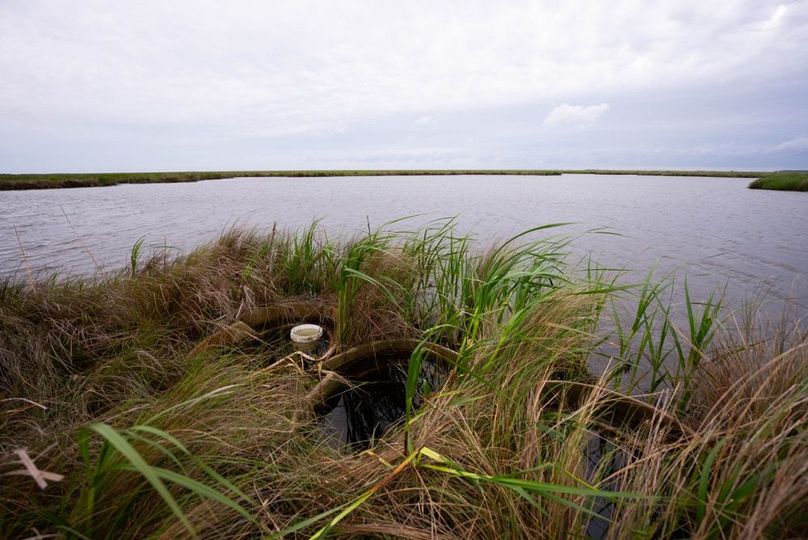 Cameron Parish LA 3,556 Pro Photo-72