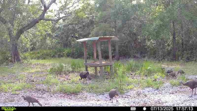 016579002709132-98-4-07132025184544-HD-SYFW00191