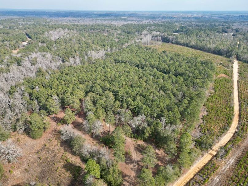 dji_fly_20260203_141408_650_1770146766037_photo