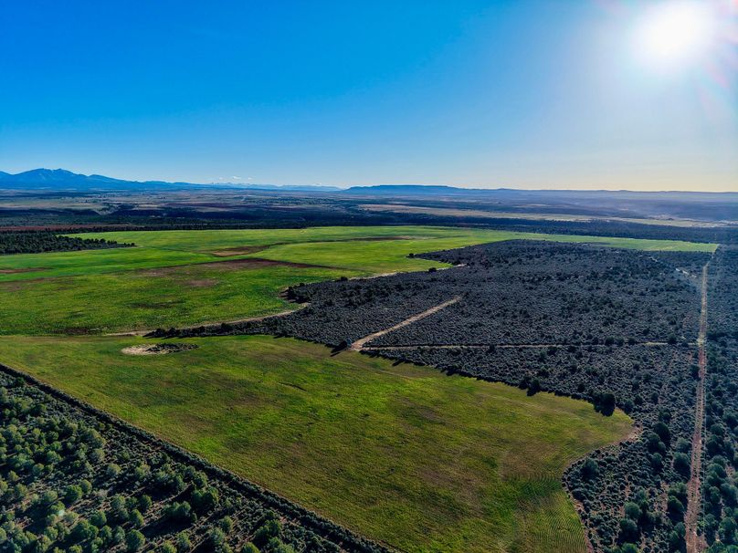 DJI_20260423075659_0211_D
