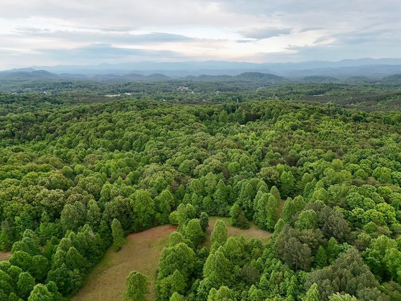 DJI_20260505193518_0032_D