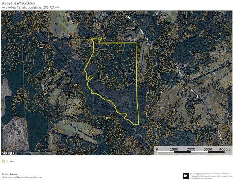 Avoyelles256contour copy