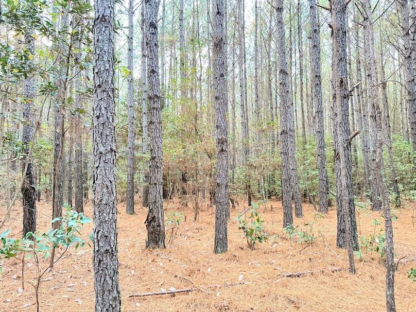 083D0483-2334-4FFE-B161-30B203DE0731