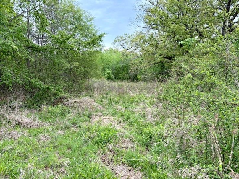 171C1431-AA7C-49D3-B356-309E62CE353C_1_105_c