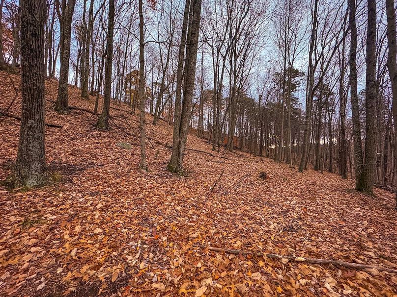 Ritchie, WV 14.081 AC Currey-22