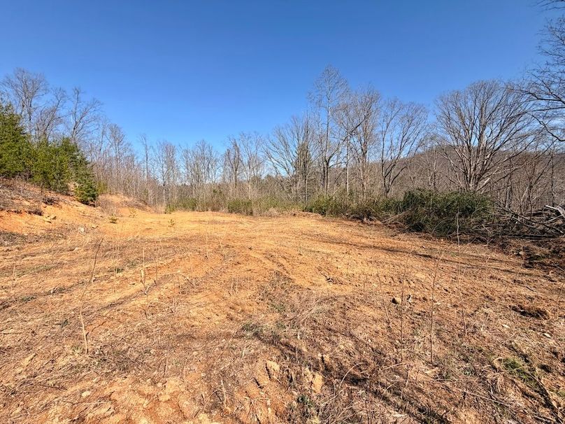 Morgan Co TN 310.833 Schneller_77