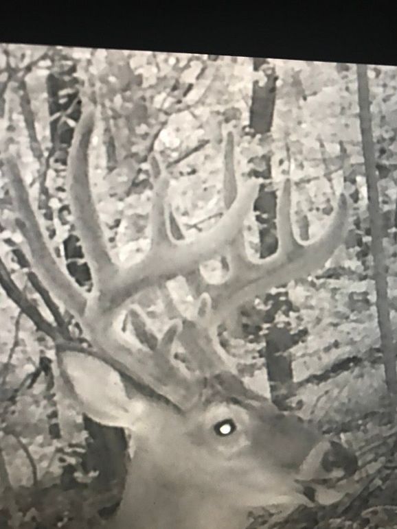 58933426462__20FBB587-F221-45F5-884B-2A6DD07DF54F (1)