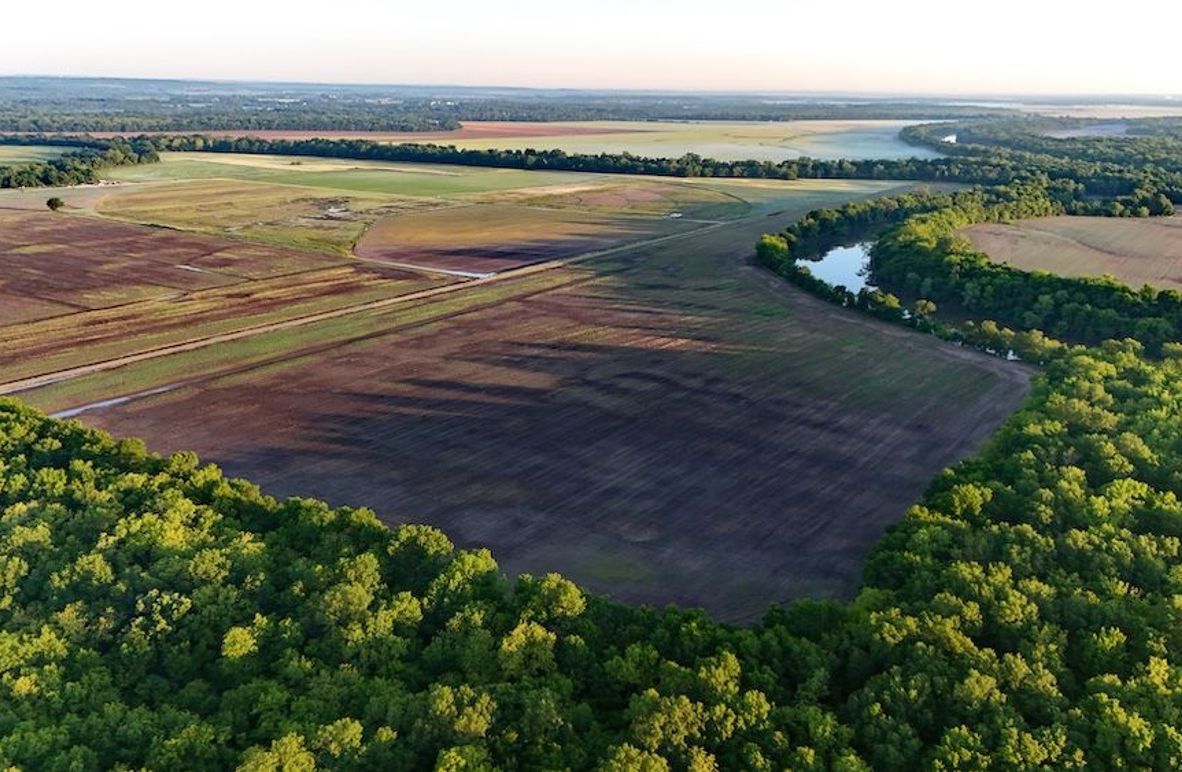 DJI_20250514074537_0010_D