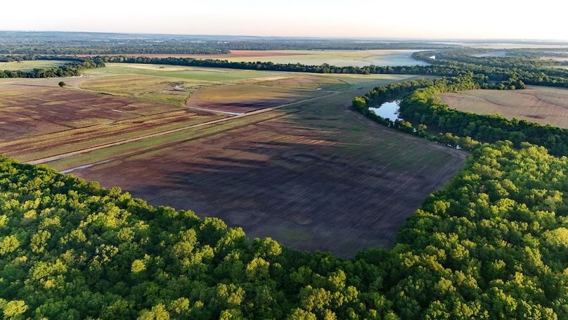 DJI_20250514074537_0010_D