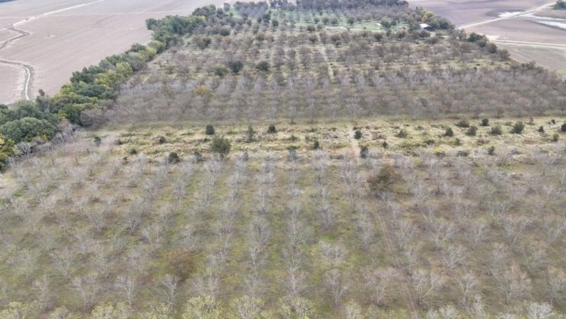 dji_fly_20251107_043236_0040_1762484037177_photo