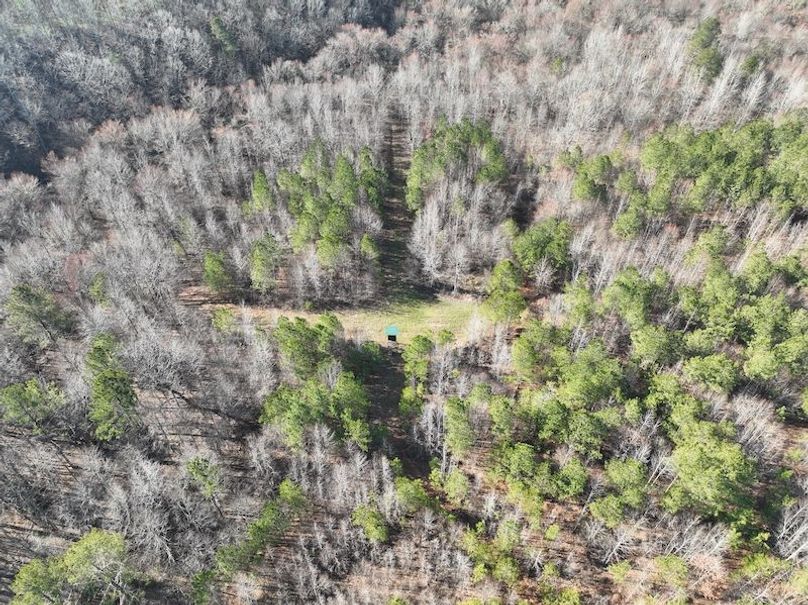 DJI_0941