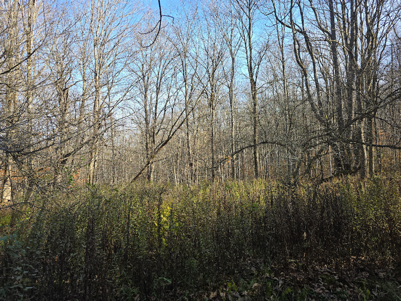 photo_e88f44ee-cfae-4caa-bd68-1fcdad66f8df