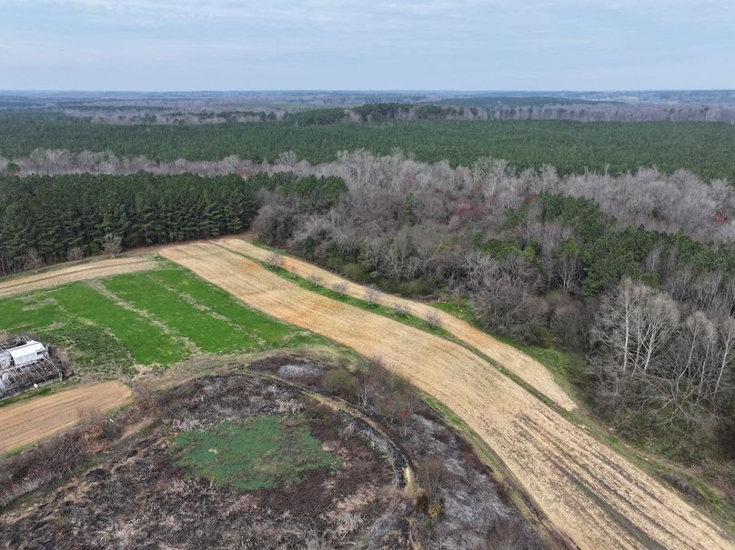 DJI_20240316121744_0013_D