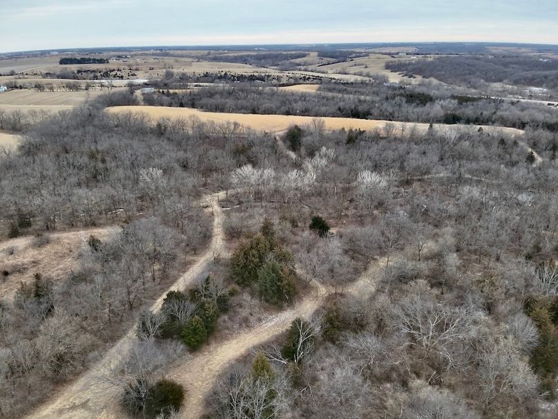 B640E9A9-49B2-47BC-AF86-C68B2662E53D_1_201_a