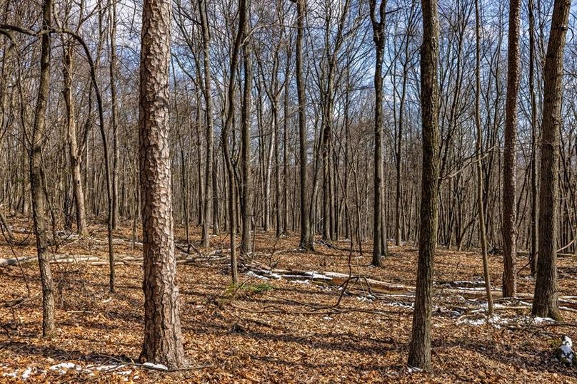 35-web-or-mls-IMG-35