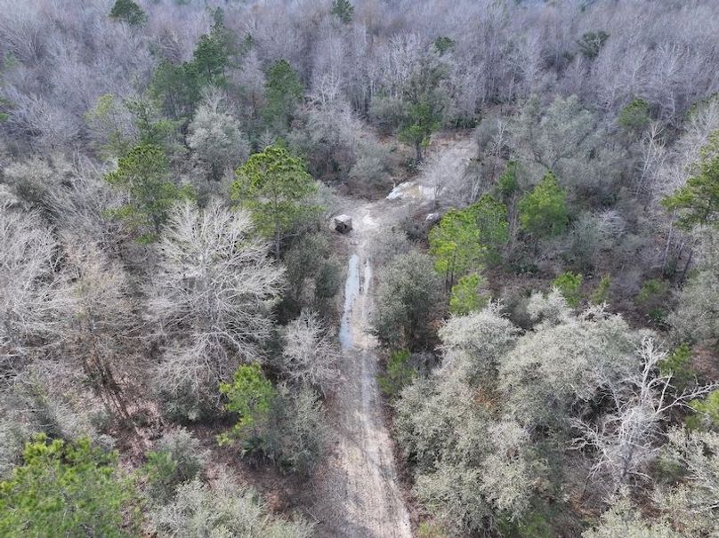 dji_fly_20260212_140152_0046_1771284246776_photo