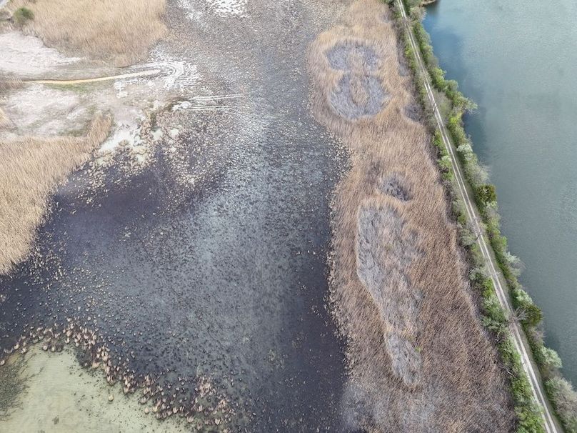 DJI_20260419133823_0571_D