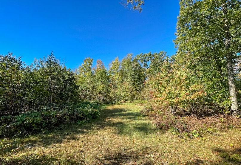 Wood 41.451, Collins -06