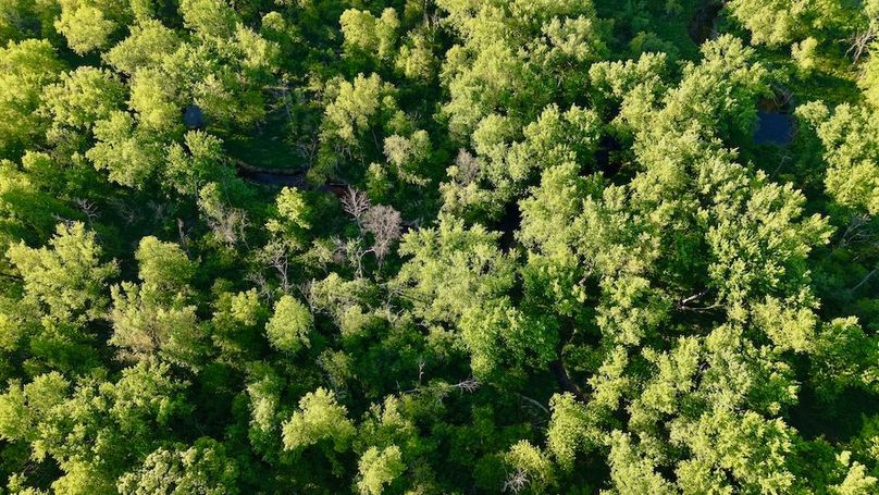 La Crosse 56.17 - 12