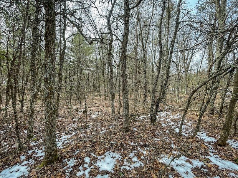 Adams 10.06 Johnson-28