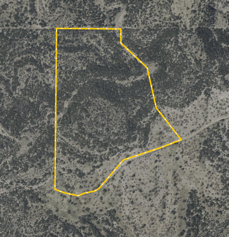 Screenshot 2026-01-23 at 9.59.20 AM