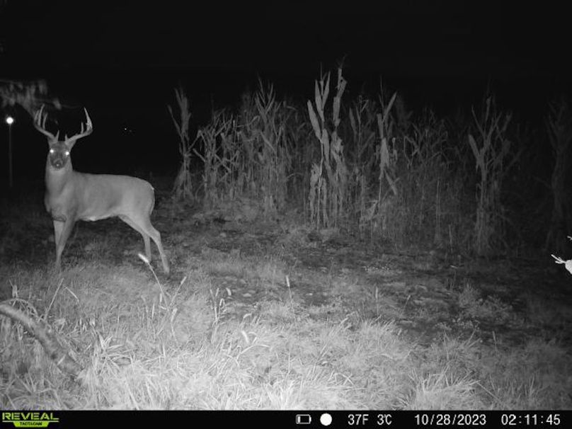 860322064829176-0-4-10282023021144-V-W1005148