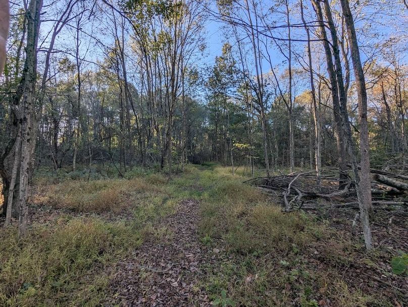 PXL_20251001_214549960