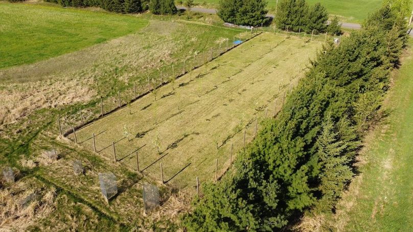 dji_fly_20250512_084106_267_1747057364918_photo_optimized