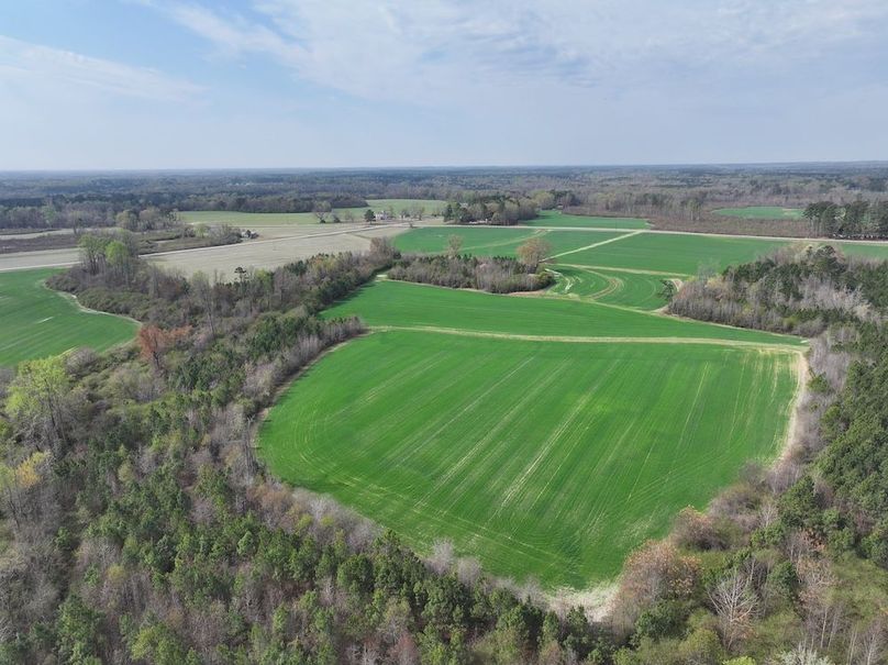 DJI_20260303064021_0562_D