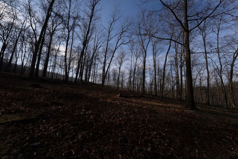 Copy of Hampshire WV 200 Featured_Pro Photo-44