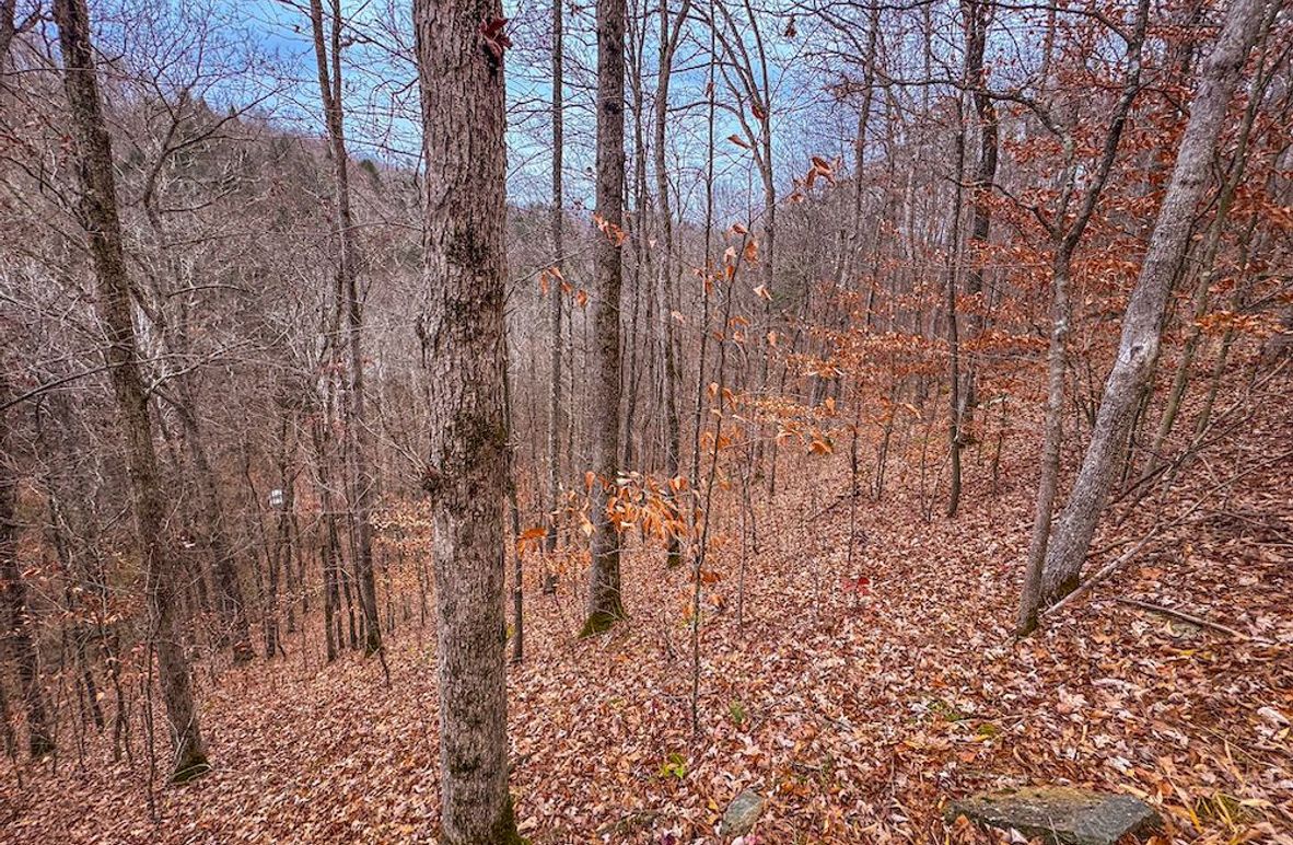 Ritchie, WV 15.5 AC Harper-06