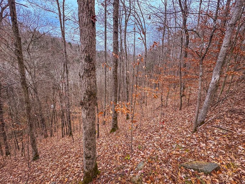 Ritchie, WV 15.5 AC Harper-06